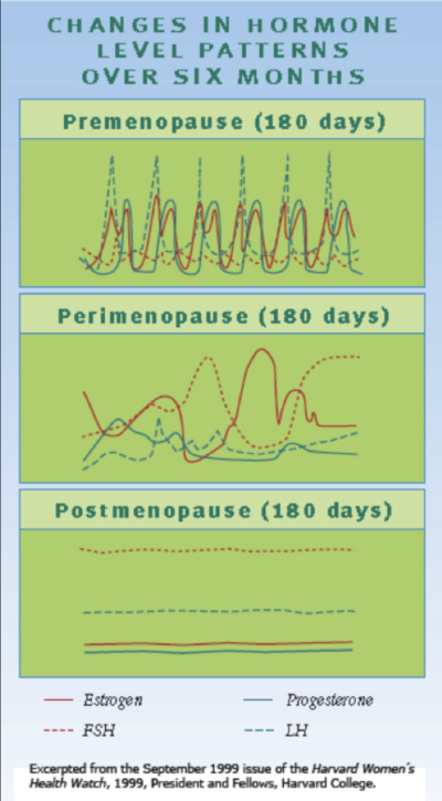 Perimenopause Explained | Women Living Better